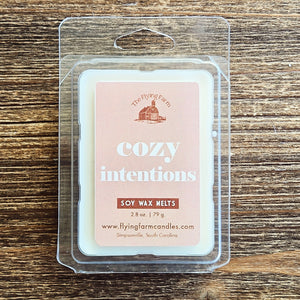 Cozy Intentions - Wax Melts