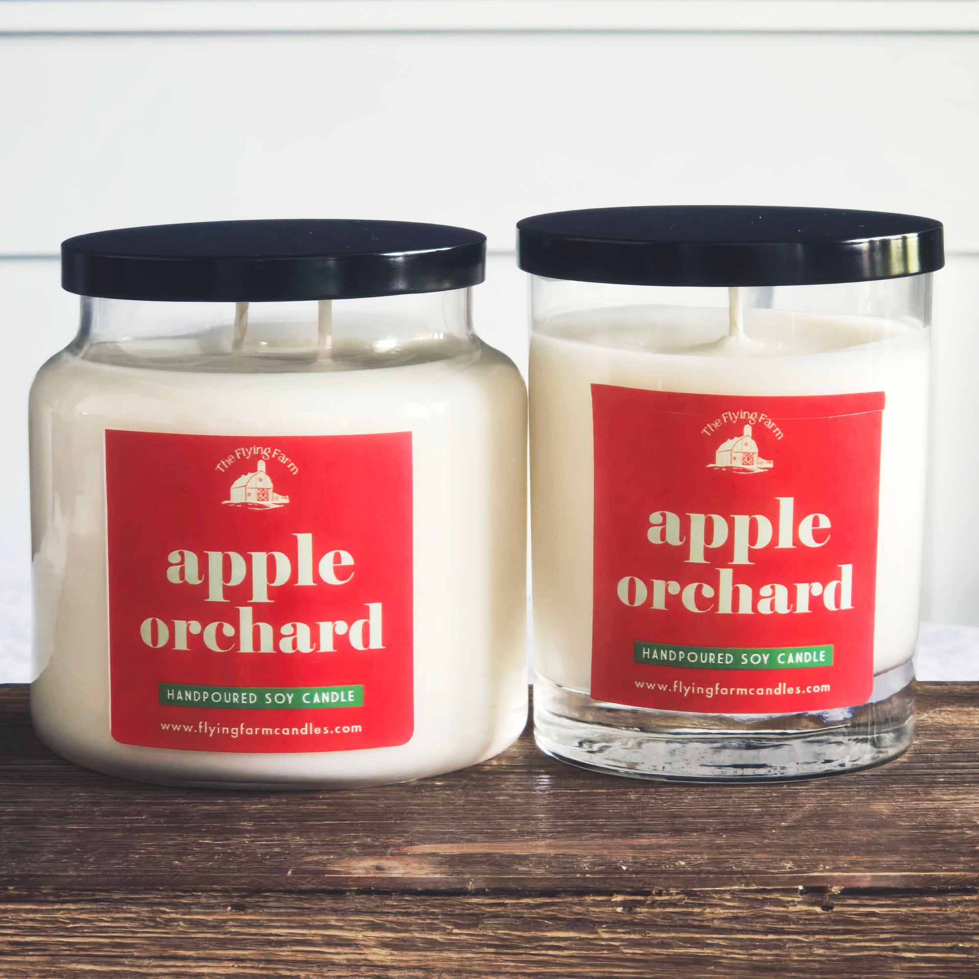 Apple Orchard