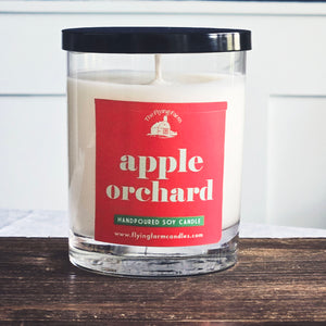 Apple Orchard