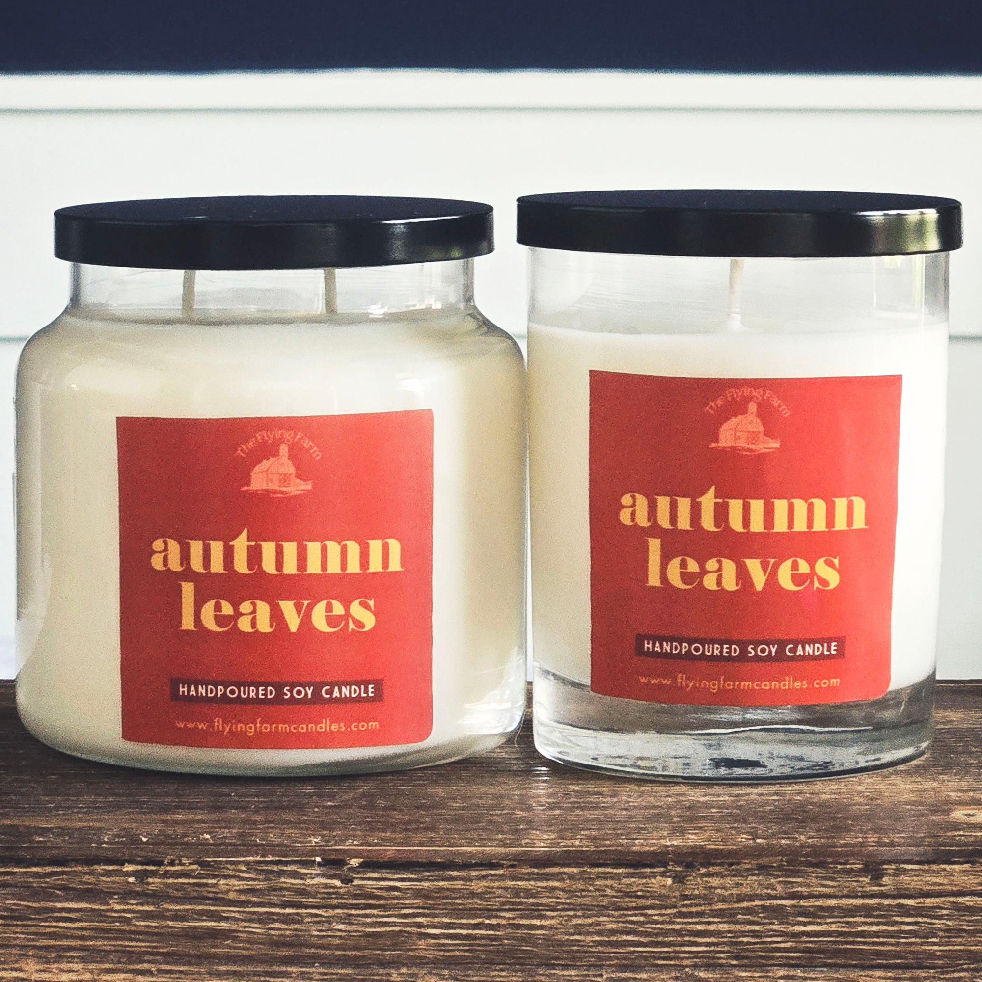 Autumn Leaves