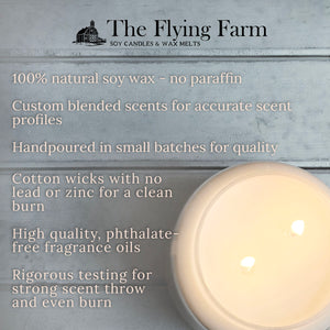 Apple Orchard - Scented Candle - Apothecary