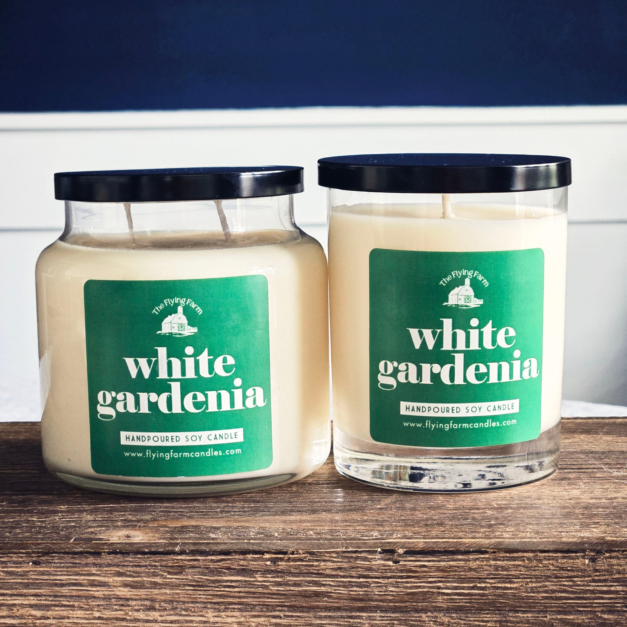 White Gardenia