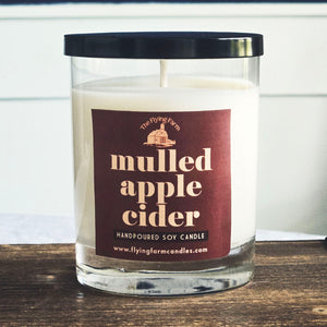 Mulled Apple Cider - Scented Candle - Tumbler