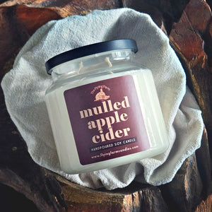 Mulled Apple Cider - Scented Candle - Apothecary
